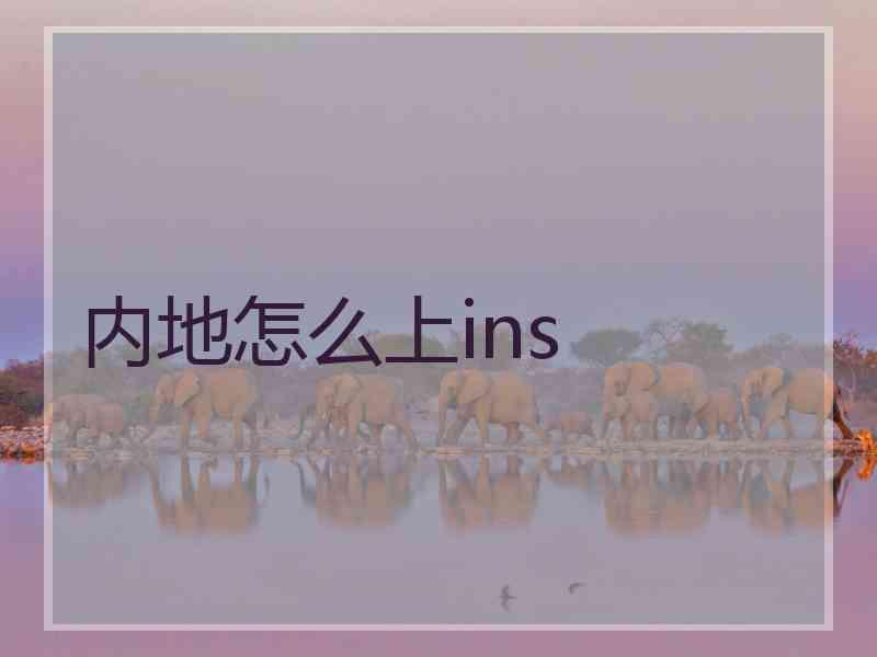 内地怎么上ins