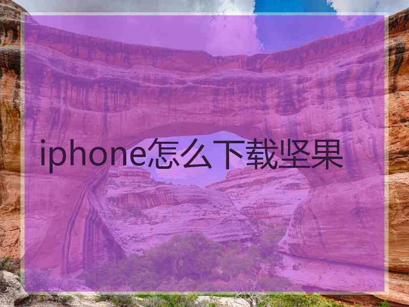 iphone怎么下载坚果