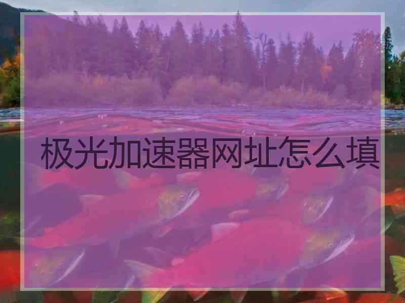 极光加速器网址怎么填