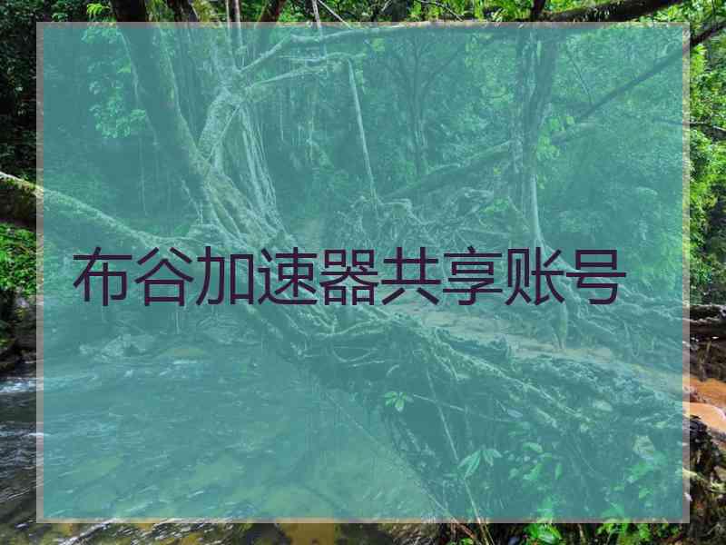 布谷加速器共享账号