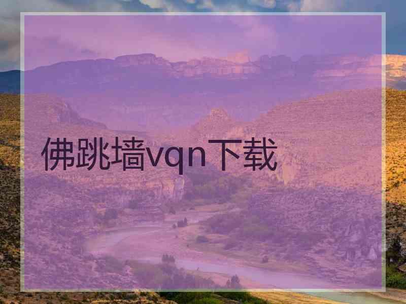 佛跳墙vqn下载