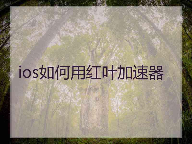 ios如何用红叶加速器