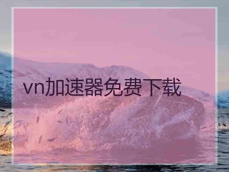 vn加速器免费下载