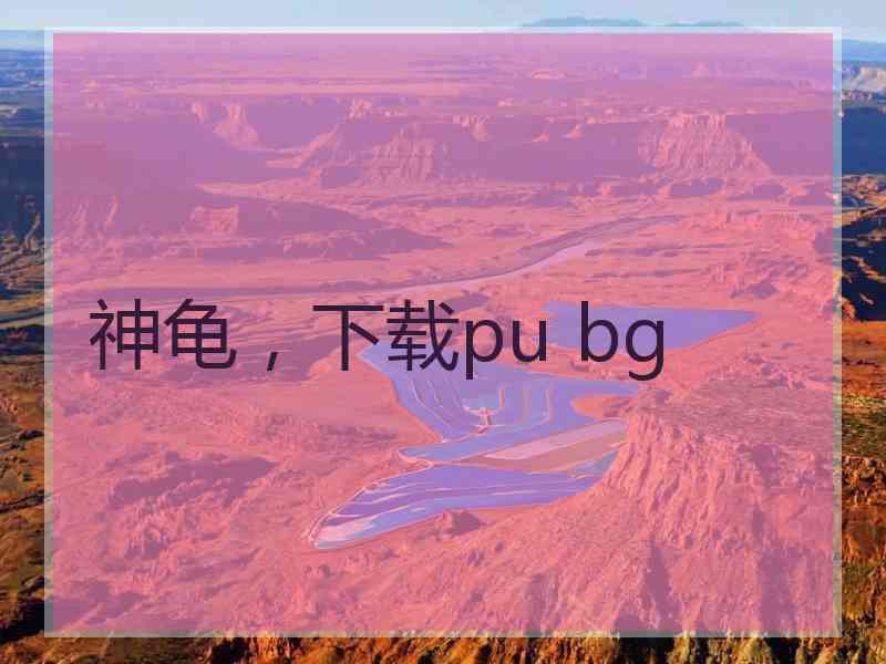 神龟，下载pu bg