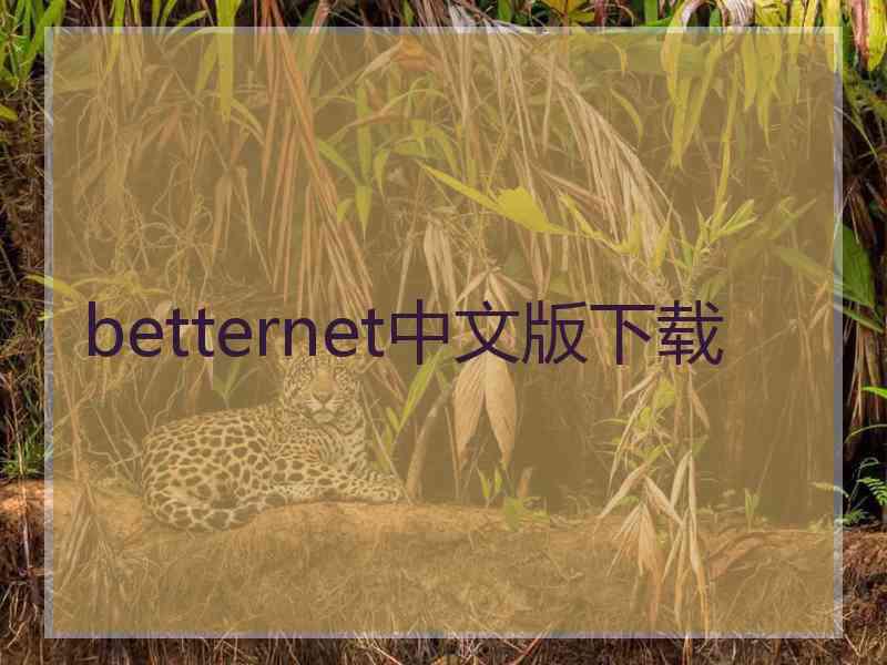 betternet中文版下载