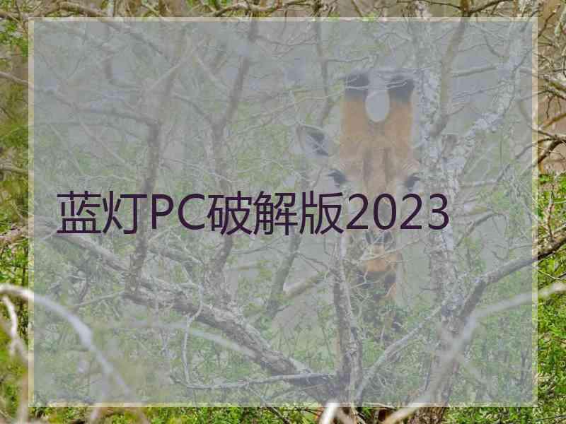 蓝灯PC破解版2023