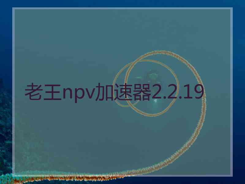 老王npv加速器2.2.19