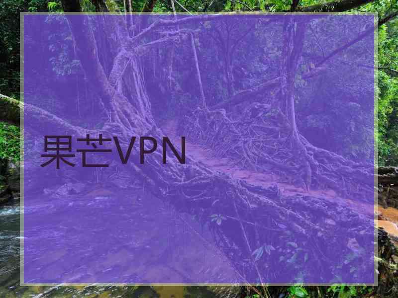 果芒VPN