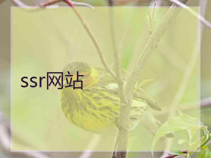 ssr网站