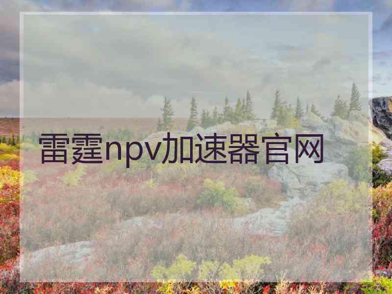 雷霆npv加速器官网