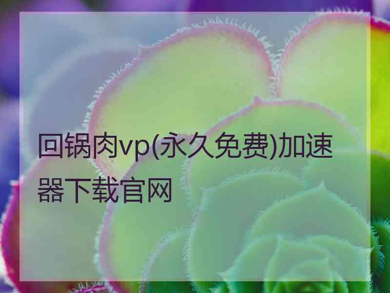 回锅肉vp(永久免费)加速器下载官网