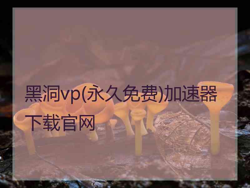 黑洞vp(永久免费)加速器下载官网