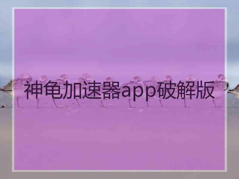 神龟加速器app破解版