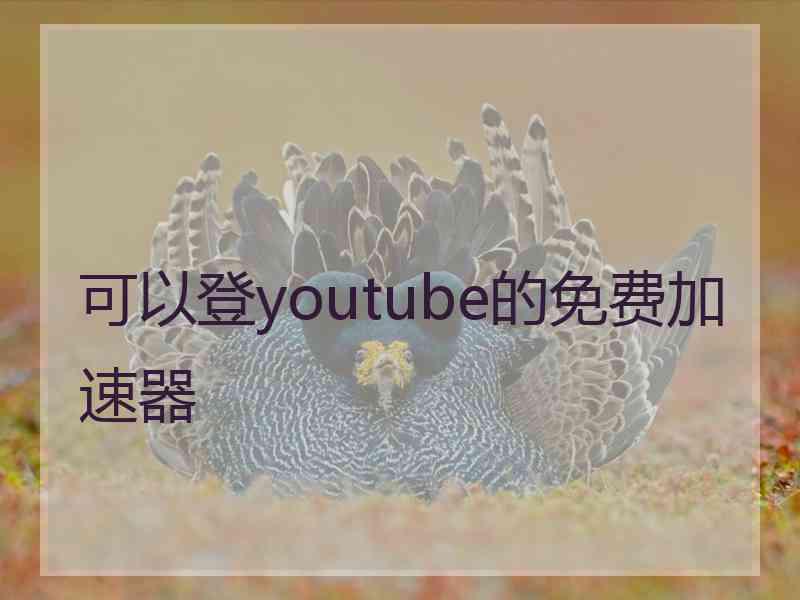 可以登youtube的免费加速器