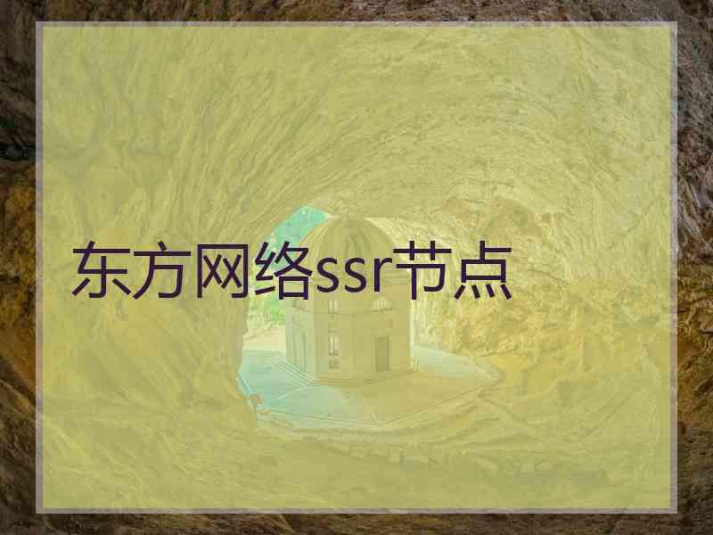 东方网络ssr节点