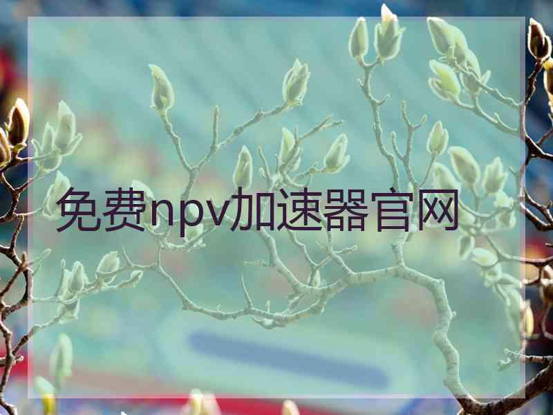 免费npv加速器官网