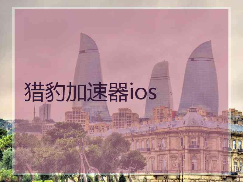 猎豹加速器ios