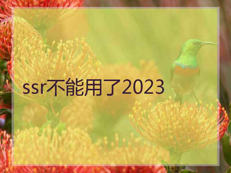 ssr不能用了2023