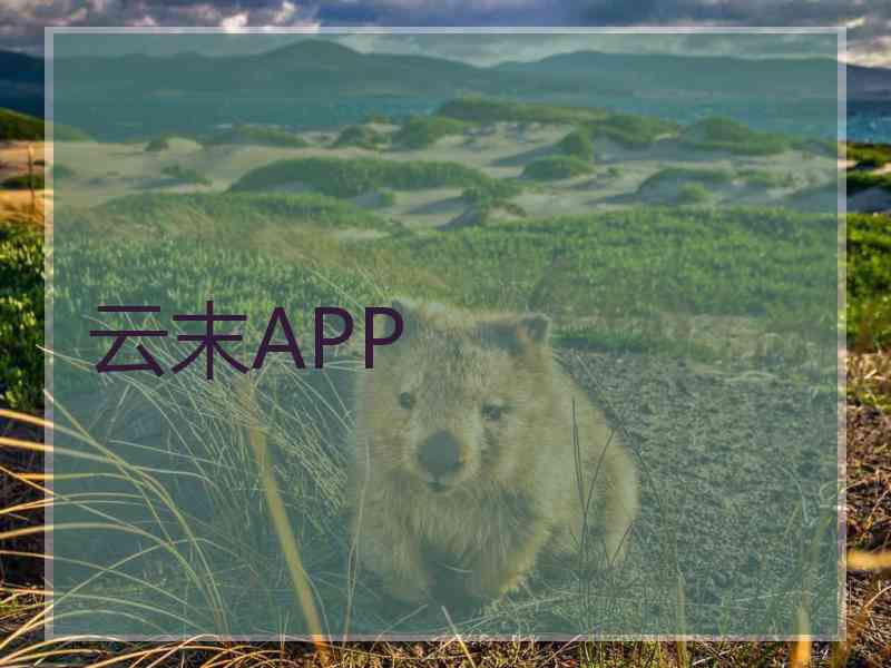 云末APP