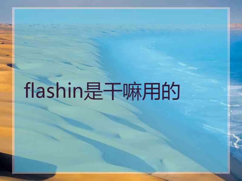 flashin是干嘛用的