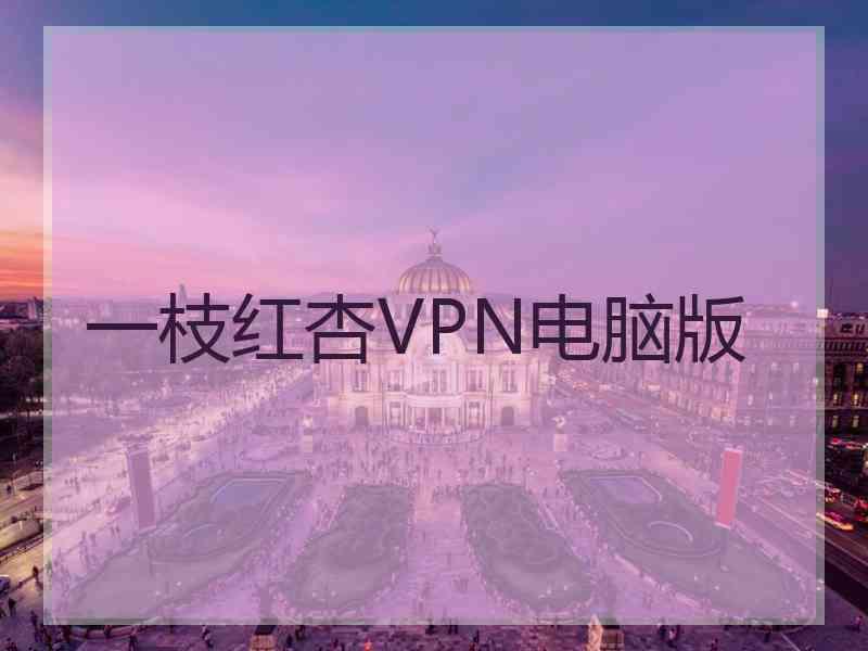 一枝红杏VPN电脑版