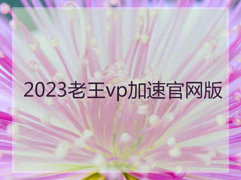 2023老王vp加速官网版