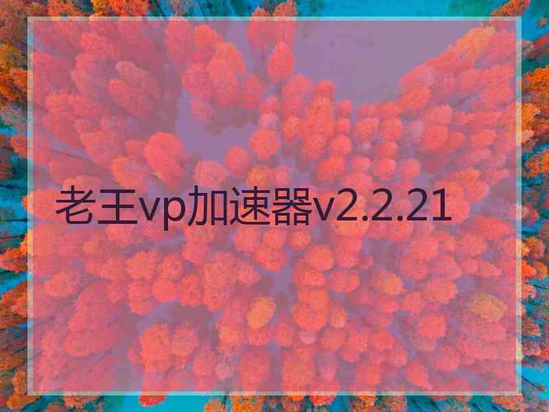 老王vp加速器v2.2.21