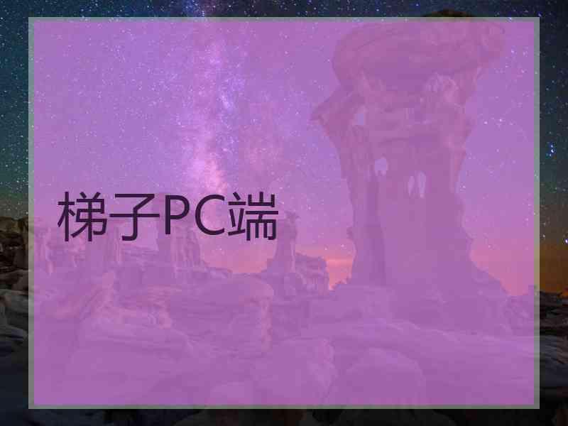 梯子PC端