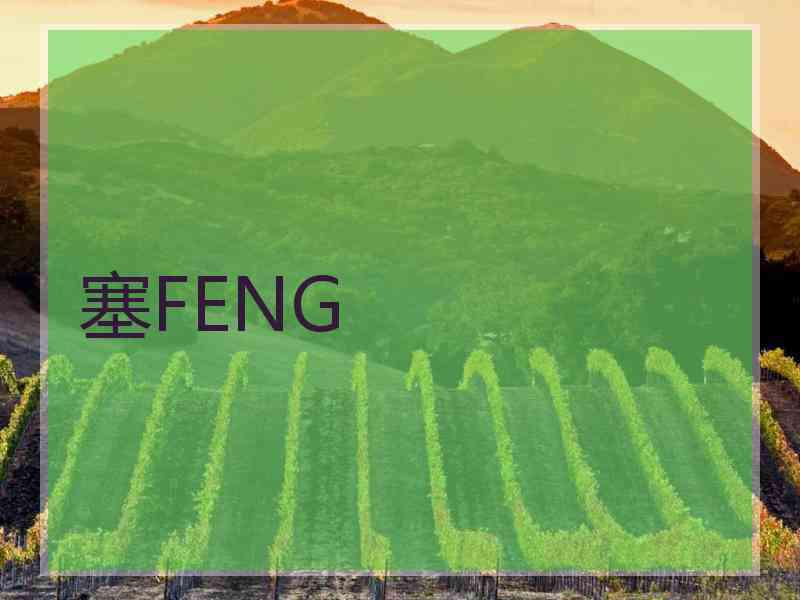 塞FENG