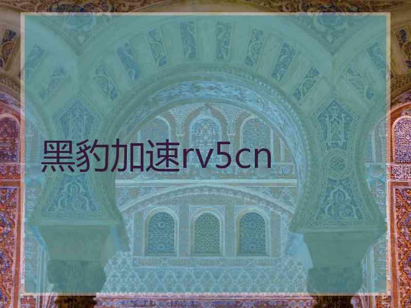 黑豹加速rv5cn