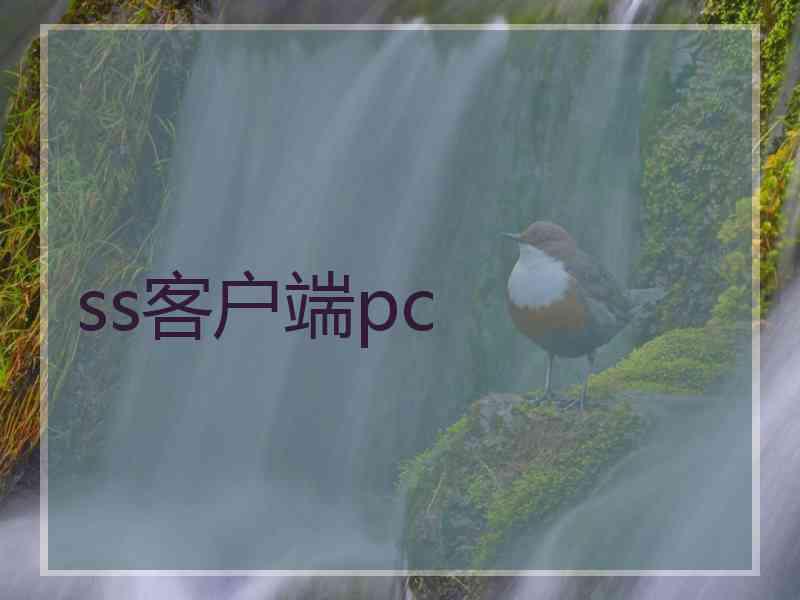 ss客户端pc