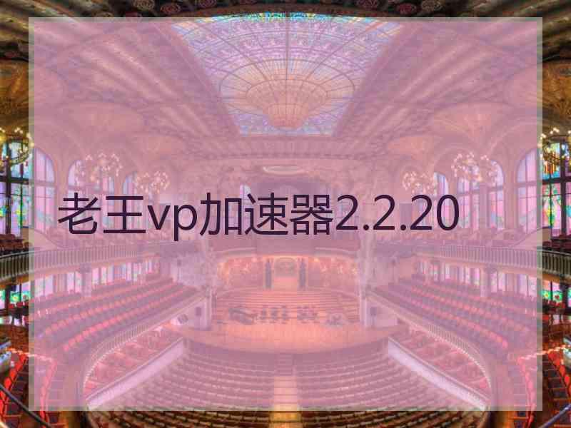 老王vp加速器2.2.20