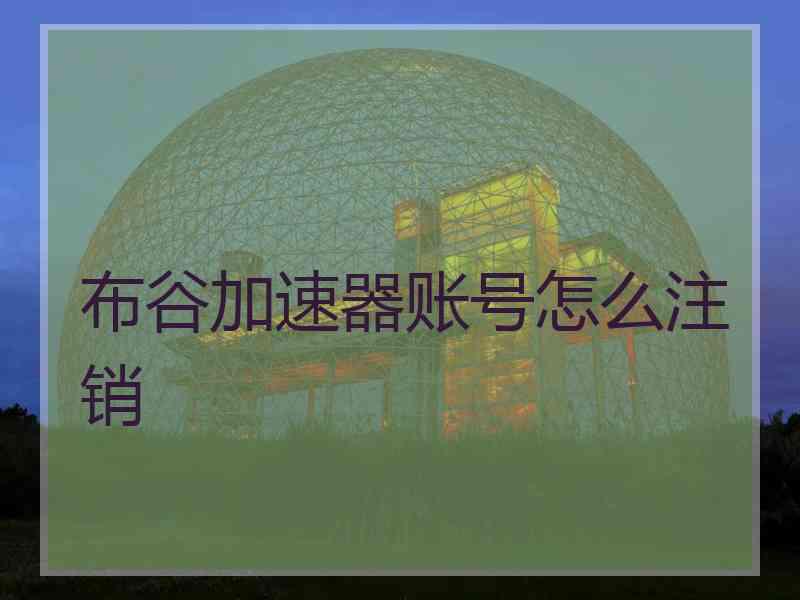 布谷加速器账号怎么注销