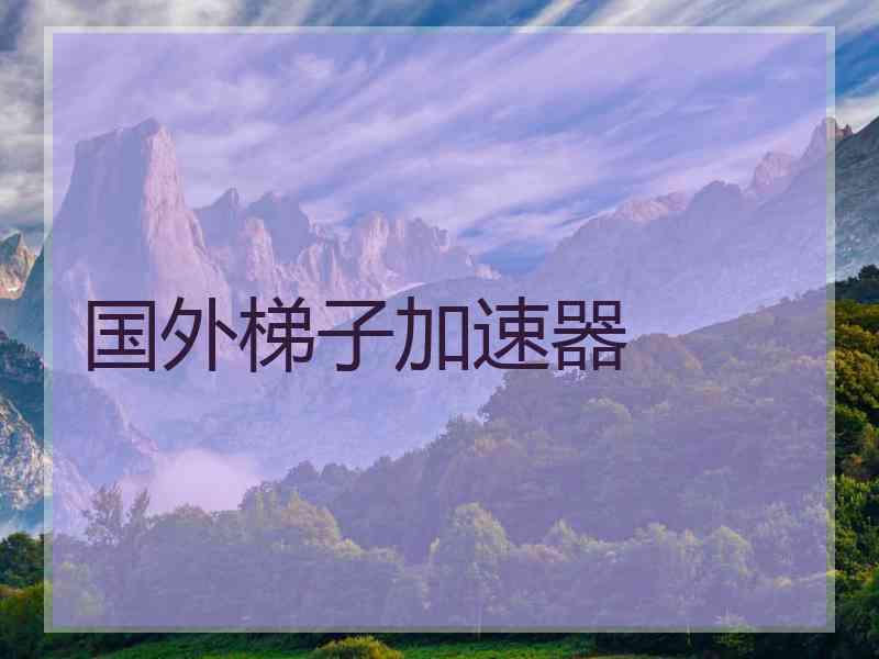 国外梯子加速器