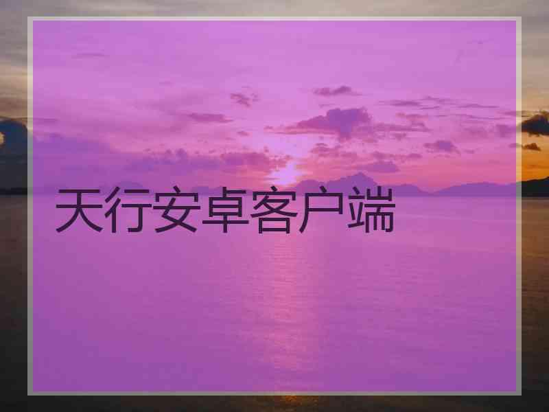 天行安卓客户端
